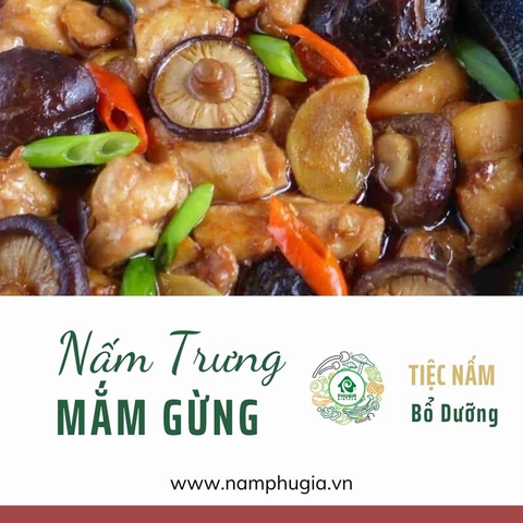  Nấm Hương khô cao cấp | Cỡ L | Gói 300g/ 500g 