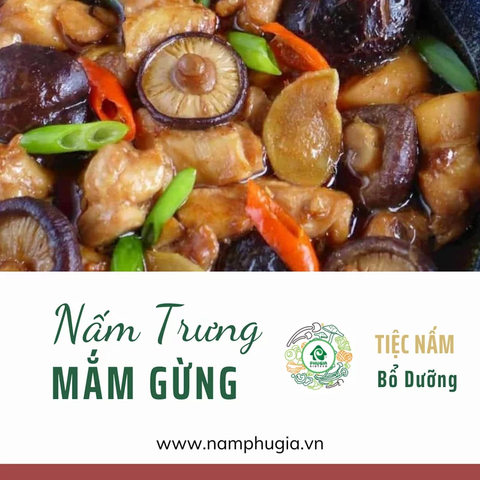  Nấm Hương hữu cơ | size S | gói 70g 100g 