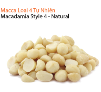 Hạt macadamia