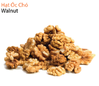 Hạt óc chó