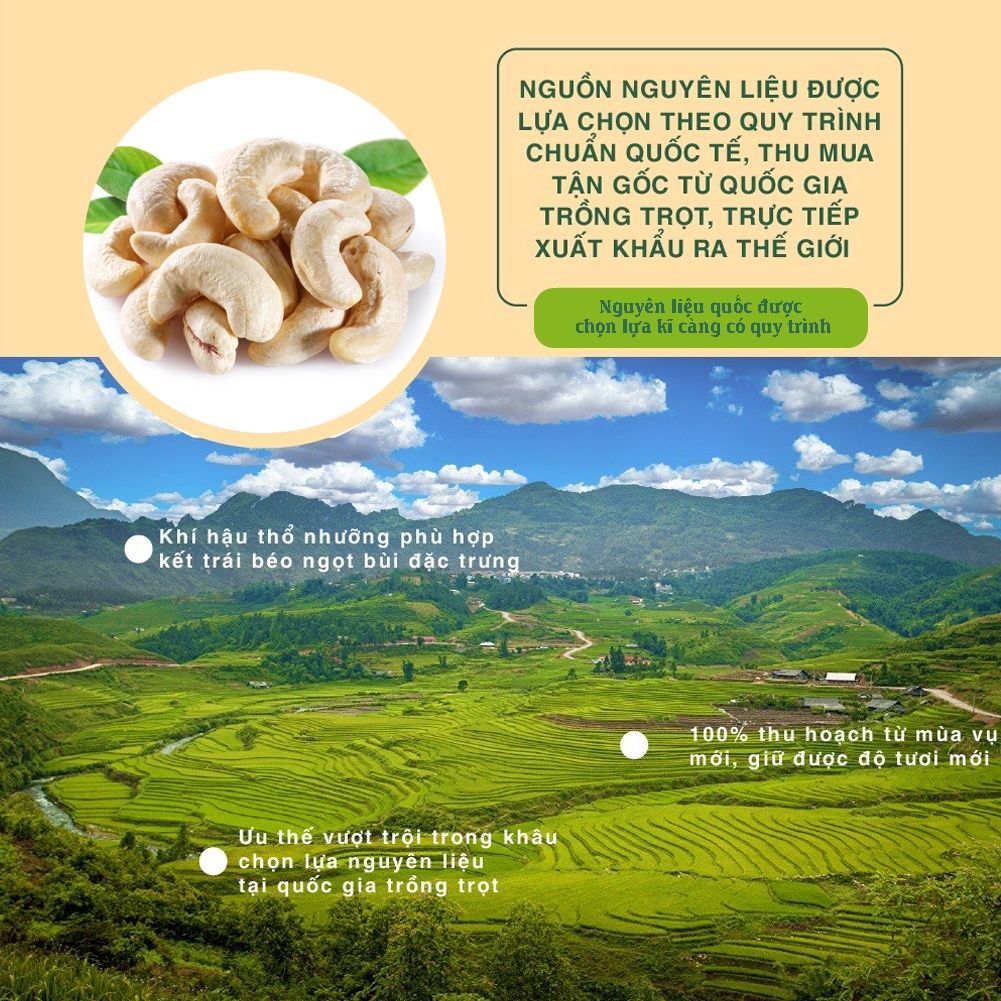 Bánh Cookies hạt điều 250g Dan D Pak