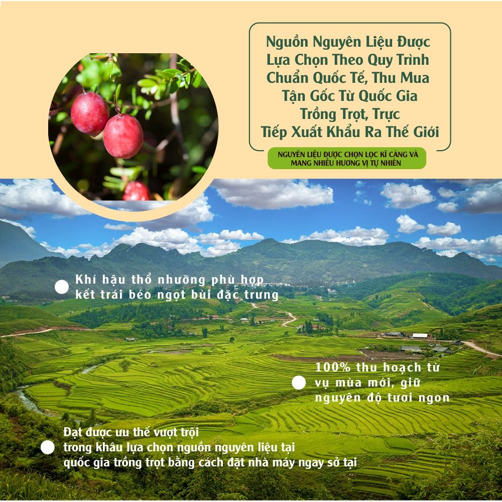 Nam việt quất tự nhiên nhập khẩu 150g Dan D Pak