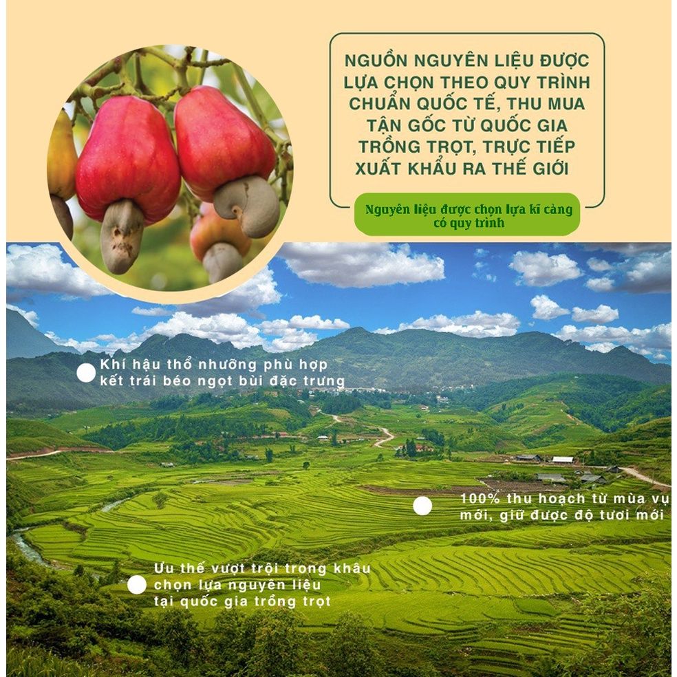 Hạt điều các loại vị tỏi 100g Dan D Pak