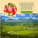 Thập cẩm hạt và trái cây khô Dailynuts Hạt điều, hạnh nhân, hạt bí, nam việt quất, cherry khô 227g Dan D Pak