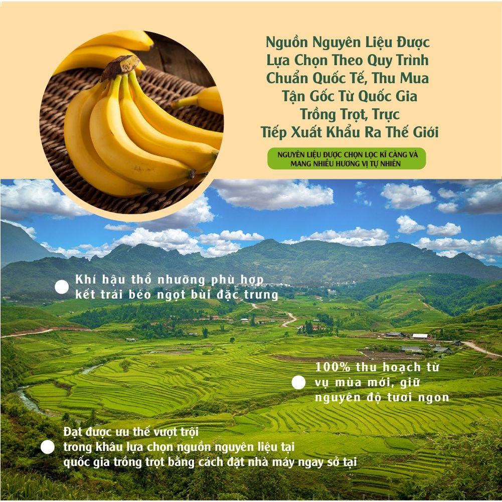 Chuối sấy siêu giòn thơm ngon, bổ sung năng lượng, ăn vặt không tăng cân 170g  và 500g Dan D Pak