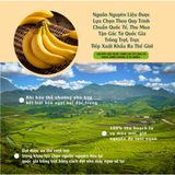 Chuối sấy siêu giòn thơm ngon, bổ sung năng lượng, ăn vặt không tăng cân 170g  và 500g Dan D Pak