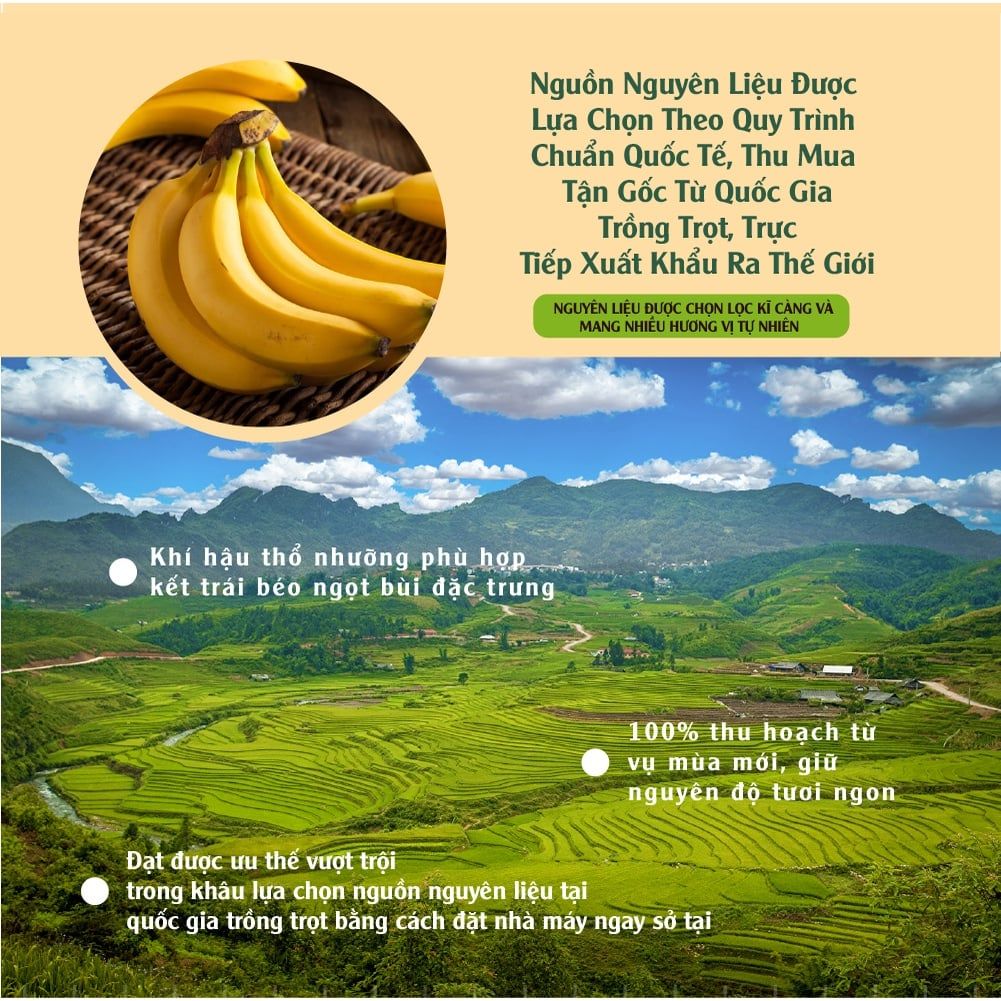 Chuối sấy siêu giòn thơm ngon, bổ sung năng lượng, ăn vặt không tăng cân 170g  và 500g Dan D Pak