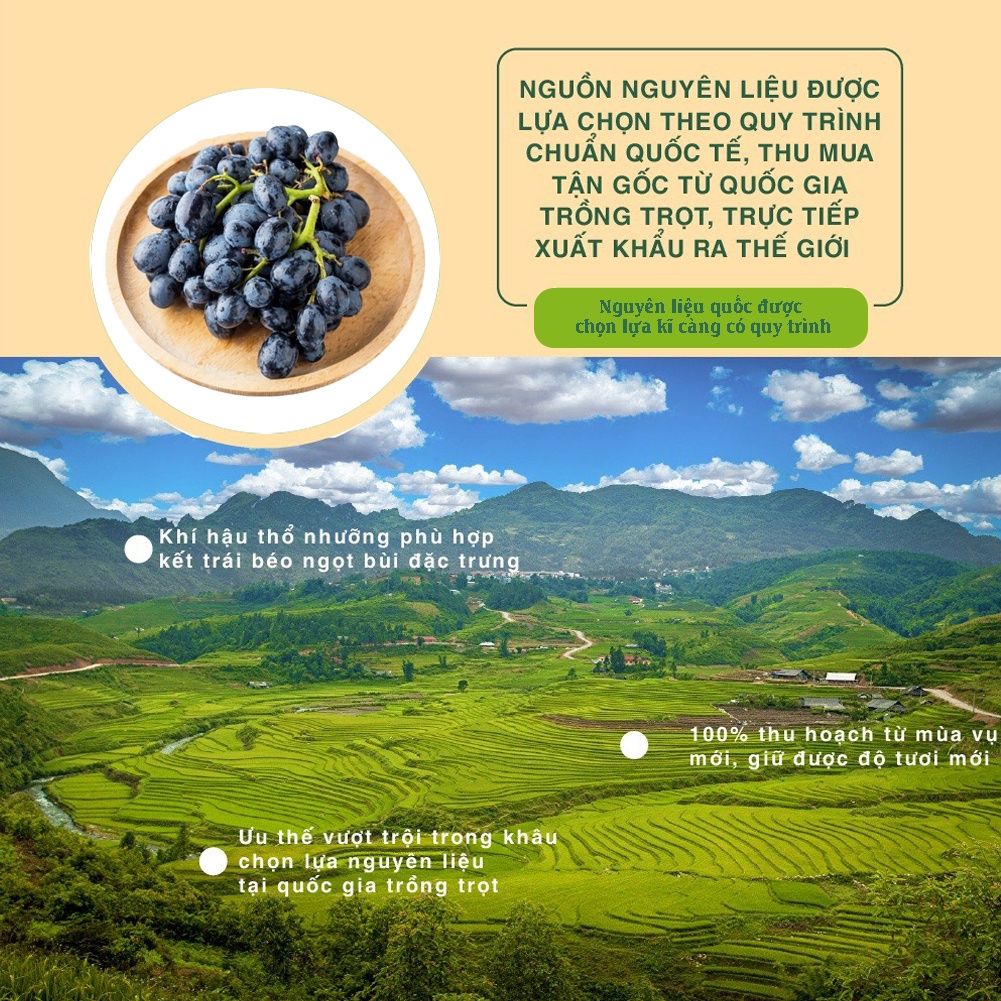 Nho đen tự nhiên nhập khẩu 454g Dan D Pak