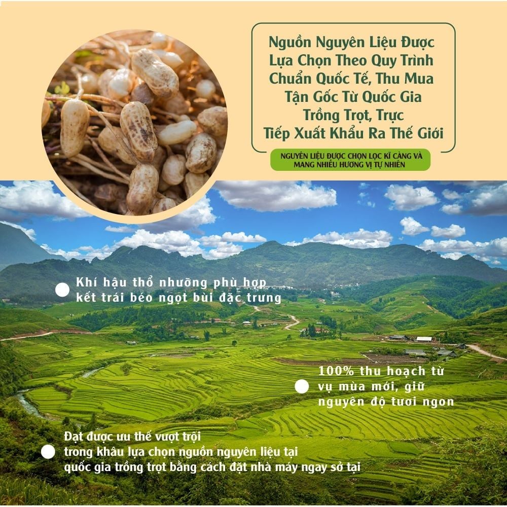 Đậu phộng nước cốt dừa 170g Dan D Pak