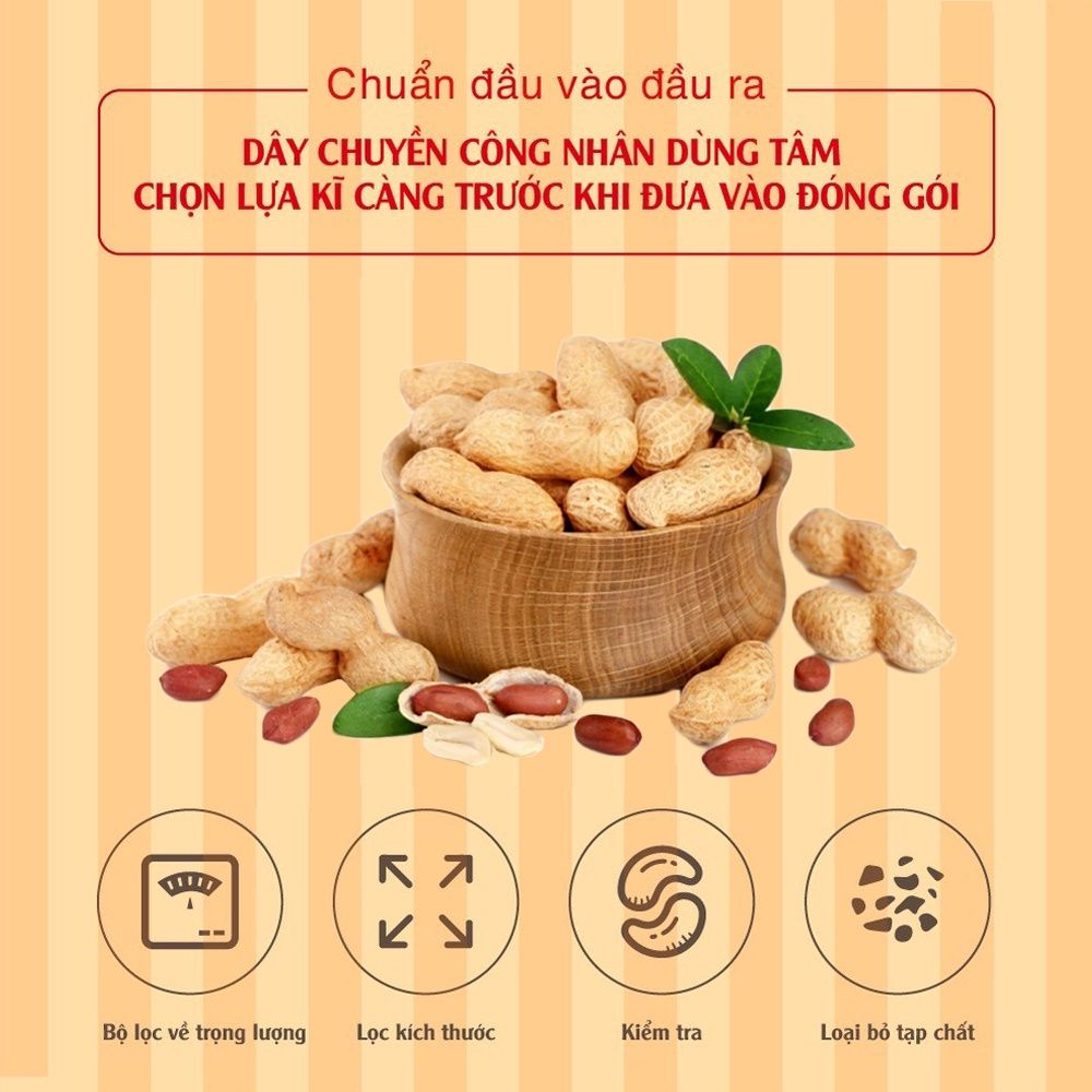 Kẹo Đậu Phộng Và Nam Việt Quất 250g Dan D Pak