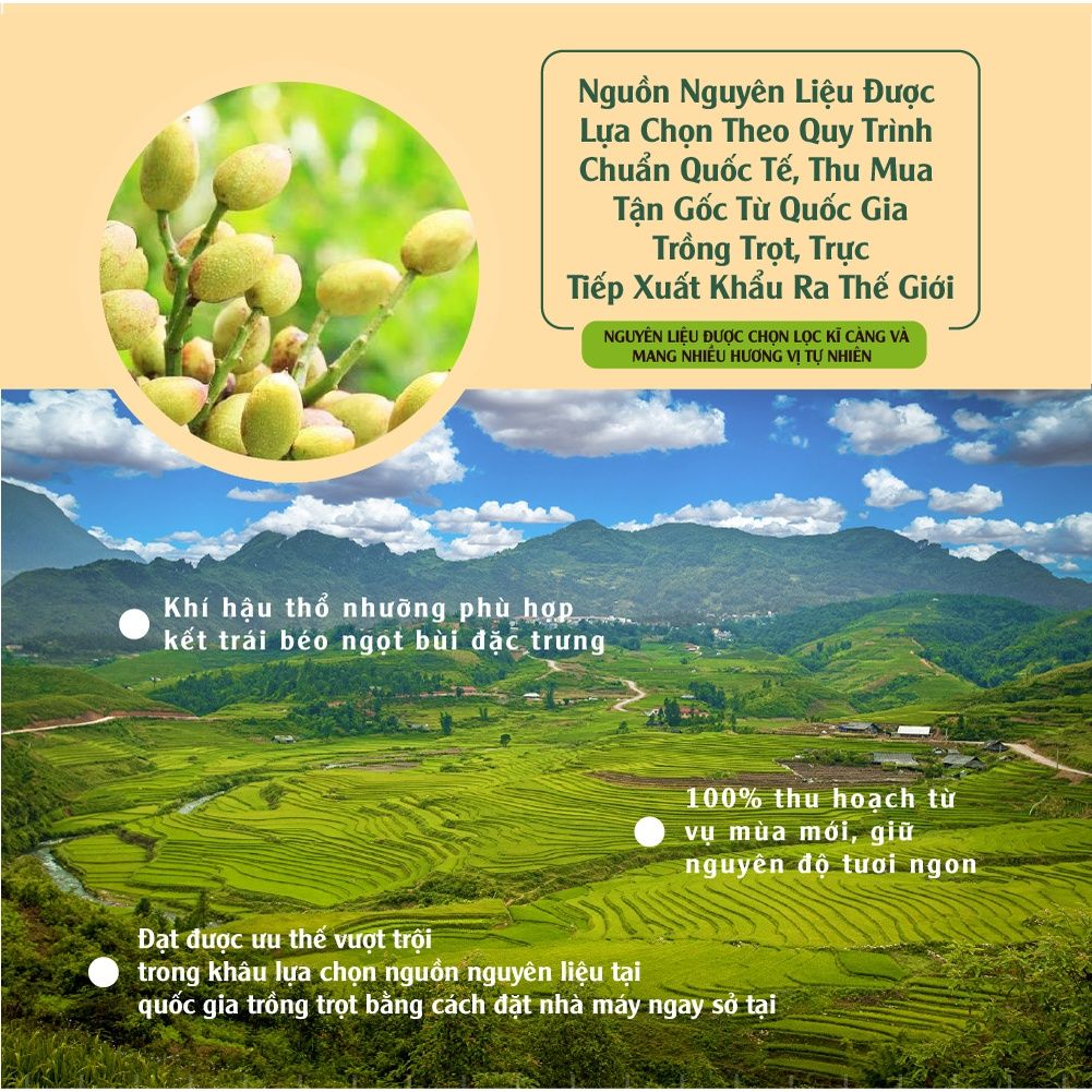 Hạt dẻ cười muối ăn vặt tốt cho sức khỏe 380g Dan D Pak