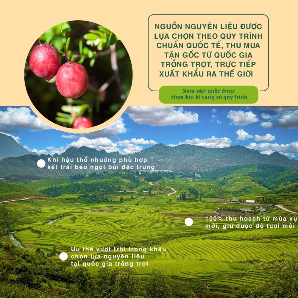 Nam Việt Quất Canada 350g Dan D Pak