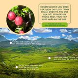 Nam Việt Quất Canada 350g Dan D Pak