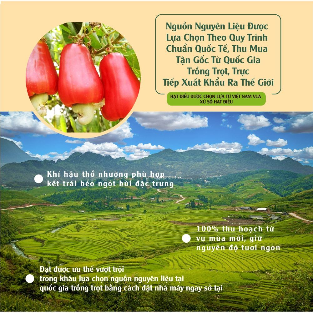 Thùng hạt điều không muối 50g x 12 gói Dan D Pak