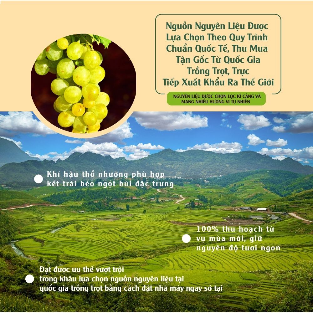 Thùng nho vàng tự nhiên nhập khẩu 150g x 24 hộp, 454g x 18 hộp Dan D Pak