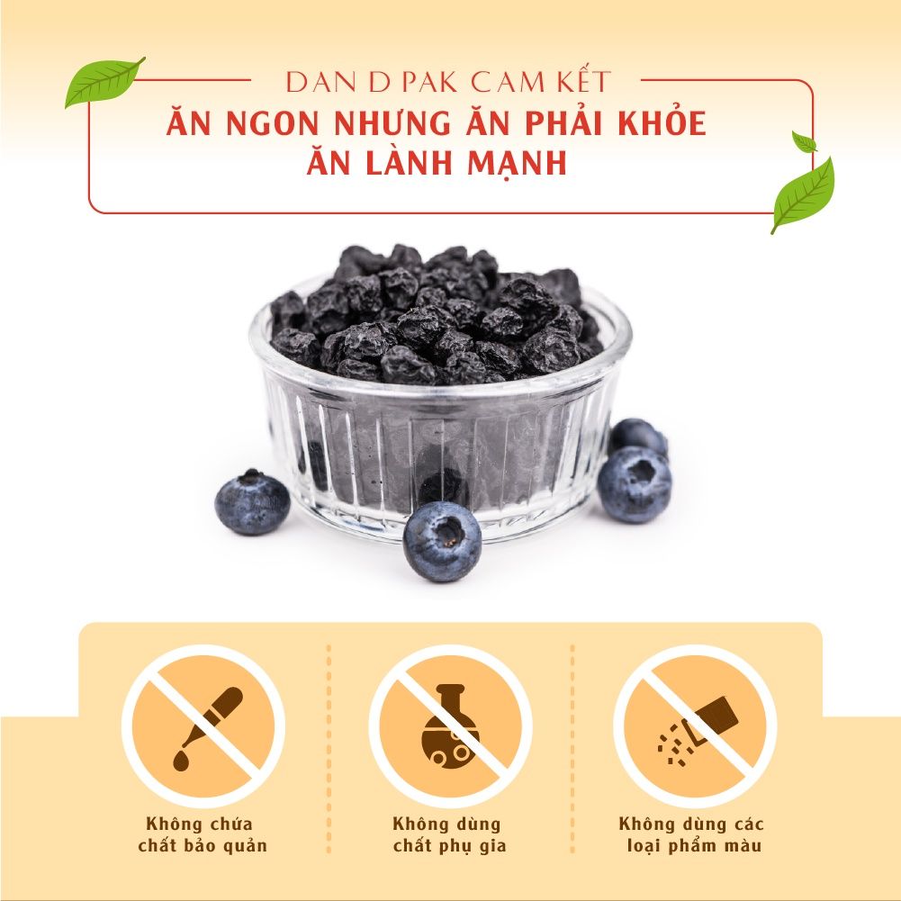 Việt quất khô nhập khẩu 100g Dan D Pak