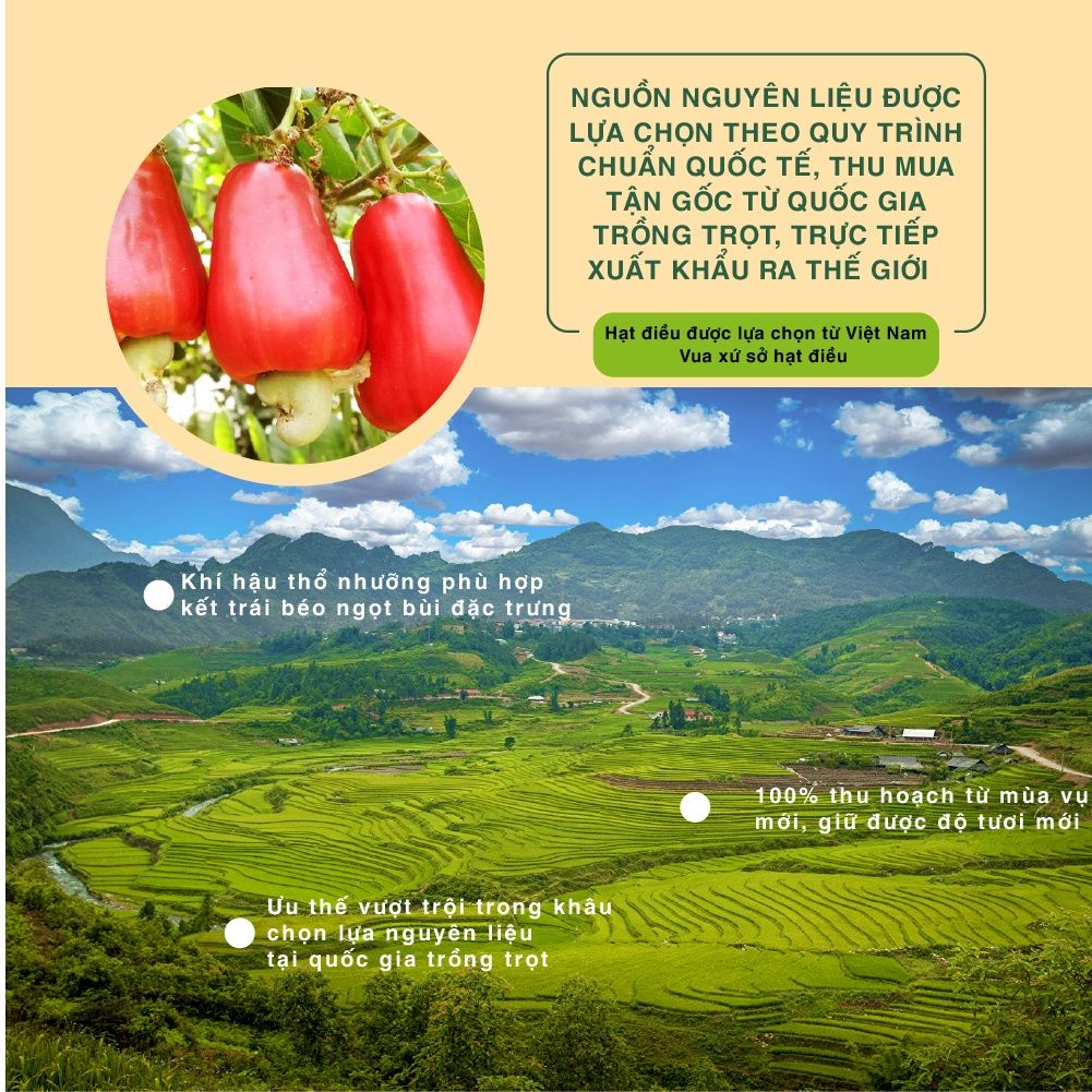 Hạt điều cay Tứ Xuyên 50g Dan D Pak