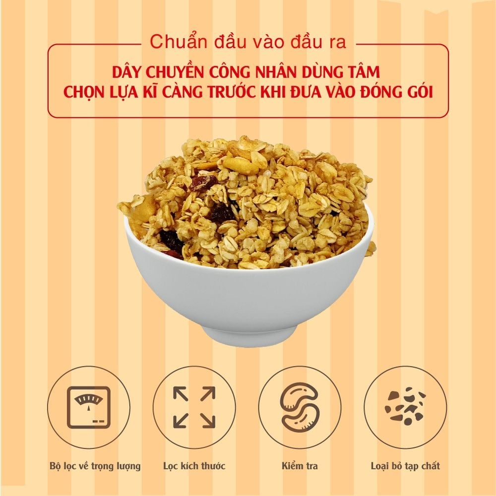 Hạt ngũ cốc Granola trái cây 350g Dan D Pak