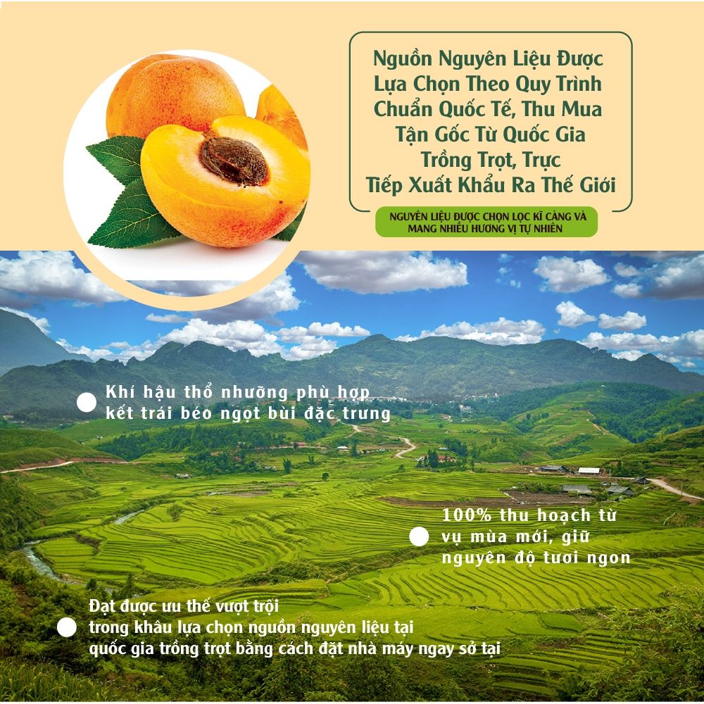 Mơ khô Thổ Nhĩ Kỳ 380g Dan D Pak