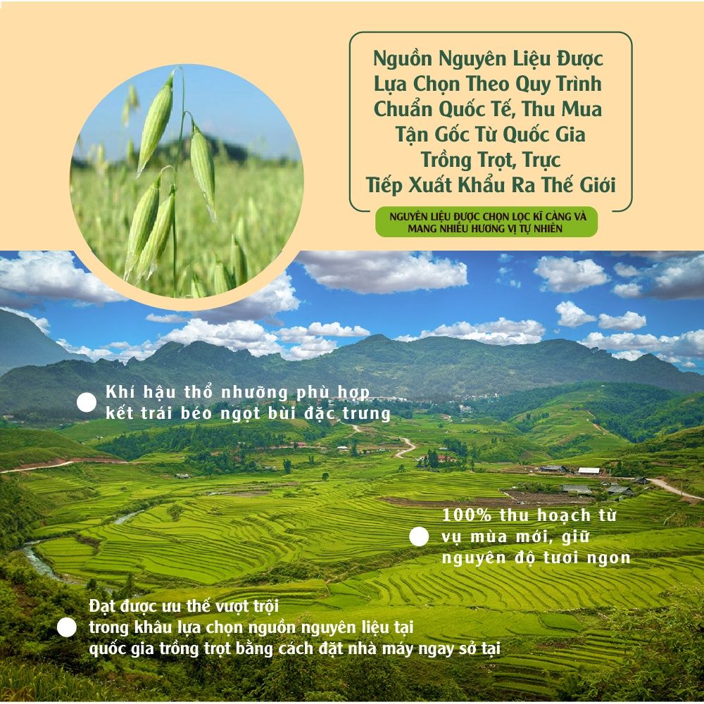 Ngũ cốc Granola Multigain 800g Dan D Pak