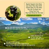 Nho đen nhập khẩu 150g Dan D Pak
