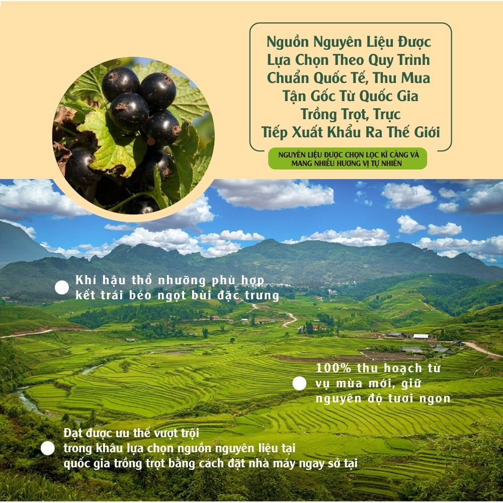 Nho đen nhập khẩu 150g Dan D Pak