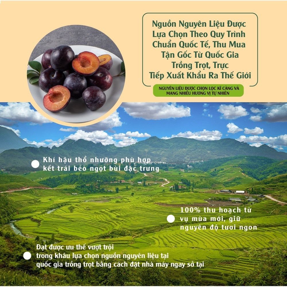 Thùng mận sấy dẻo nhập khẩu 120g x 12 gói Dan D Pak