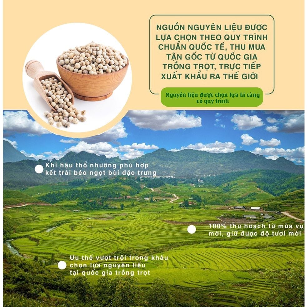 Bột tiêu xay nhuyễn 100g Dan D Pak