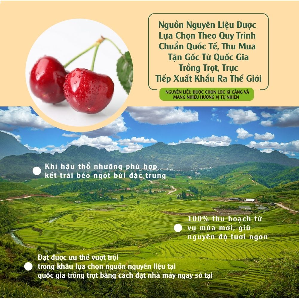 Anh đào nhập khẩu nhiều chất xơ và chất dinh dưỡng, giúp hỗ trợ sức khỏe của hệ tiêu hóa 100g Dan D Pak