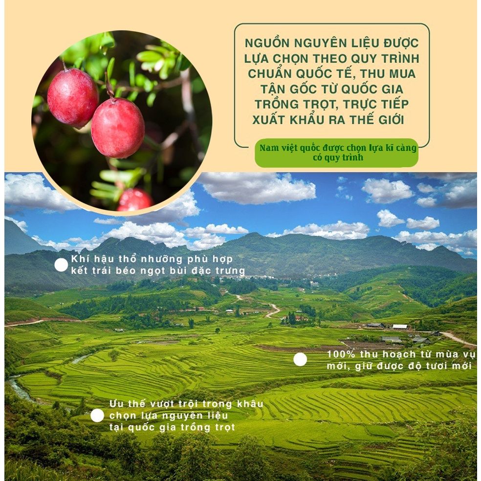 Hạt ngũ cốc Granola Điều và Nam Việt Quất bổ sung dinh dưỡng bữa sáng 40g Dan D Pak