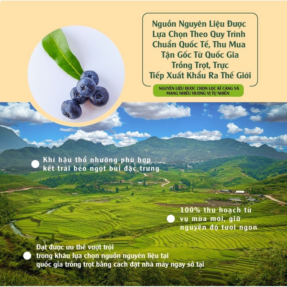 Thùng việt quất khô nhập khẩu 100g x 12 gói Dan D Pak