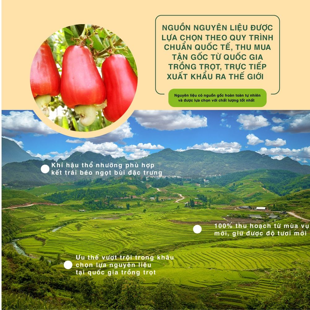 Hạt Thập Cẩm Premium Không Muối Hạt điều, Hạnh nhân, Hạt ba tây, Hạt macadamia, Hạt dẻ, Dầu thực vật 560g Dan D Pak