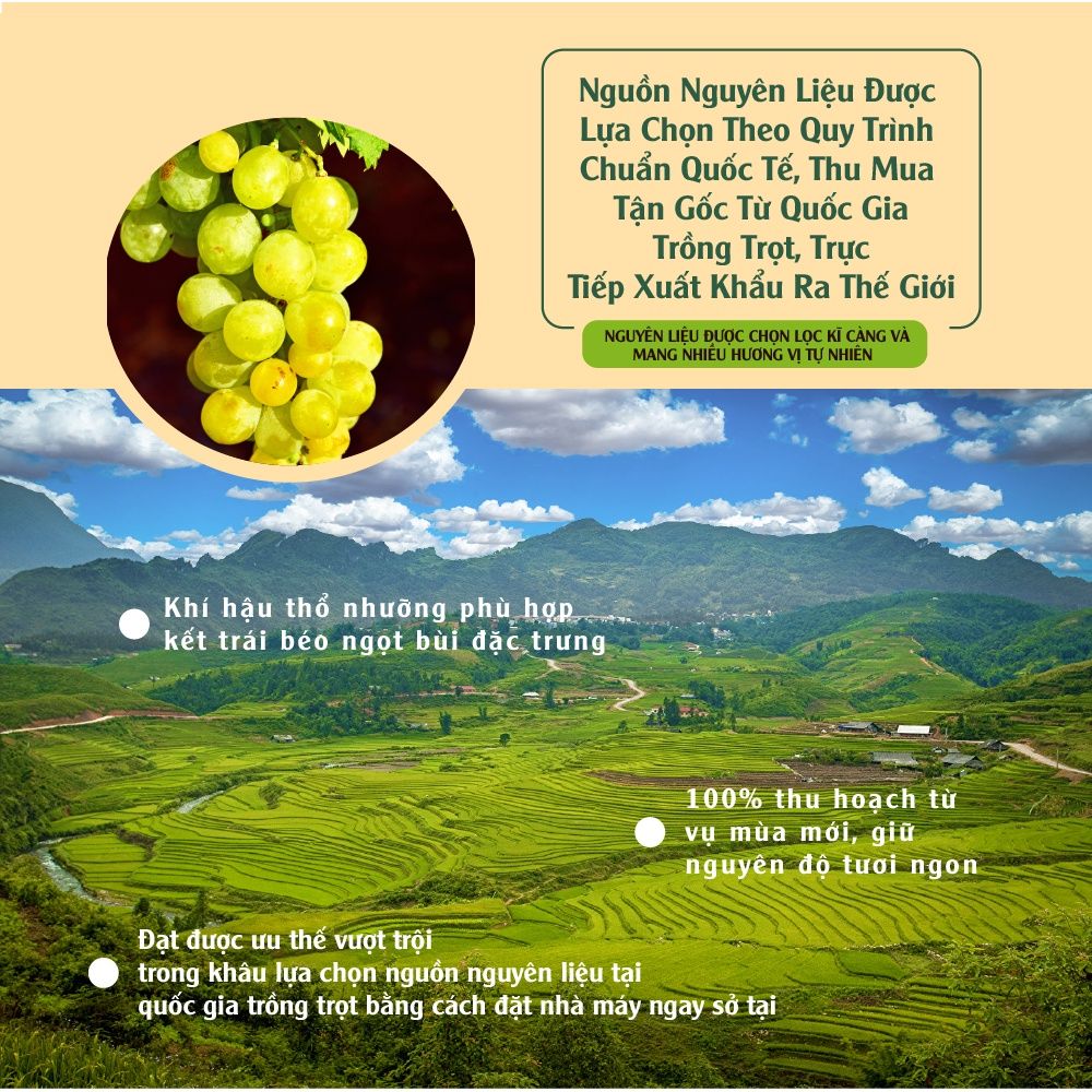 Nho vàng tự nhiên nhập khẩu 454g, 150g Dan D Pak