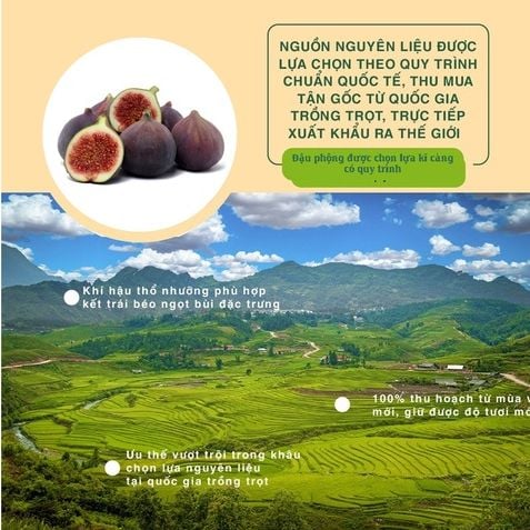  Sung sấy khô tự nhiên nhập khẩu dinh dưỡng, giàu chất xơ, tốt cho sức khỏe 135g Dan D Pak 