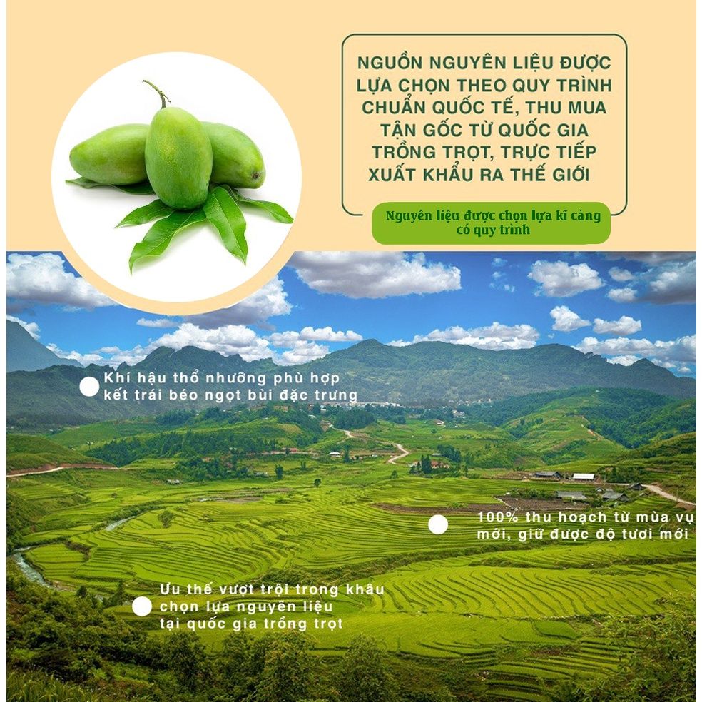 Xoài Sấy Dẻo ăn kiêng không thiếu chất, mệt mỏi, không có bất kỳ chất bảo quản nào khác 200g, 85g  Dan D Pak