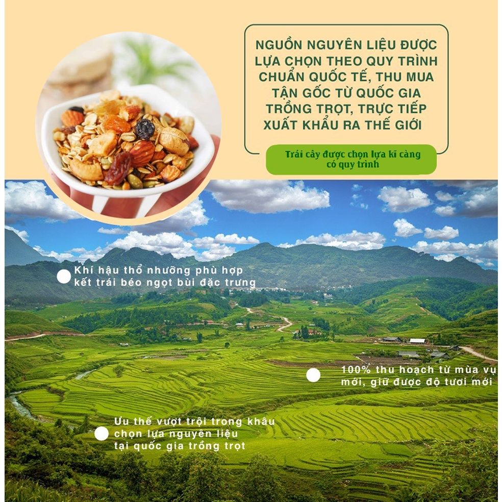 Hạt ngũ cốc Granola Trái Cây 40gr Dan D Pak
