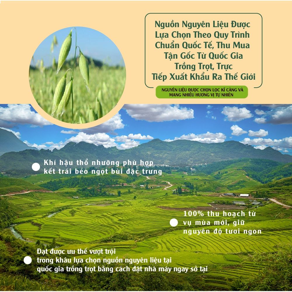 Thanh Granola Hạt Điều 30g Granola Nutri Bar Cashews Dan D Pak