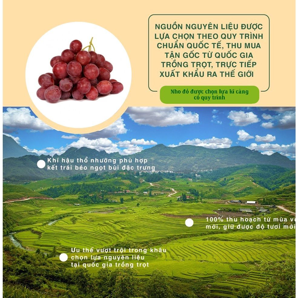 Nho đỏ tự nhiên nhập khẩu lành mạnh 250g Dan D Pak