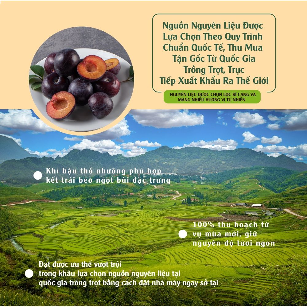 Mận sấy dẻo nhập khẩu 120g Dan D Pak