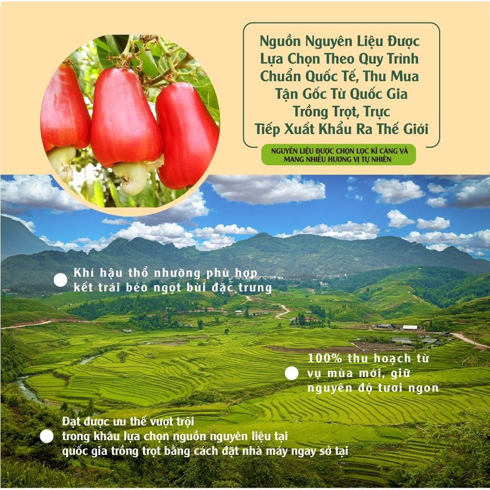 Thập cẩm hạt và trái cây khô Dailynuts hạt điều, hạnh nhân, hạt bí xanh, nam việt quất, anh đào 175g Dan D Pak