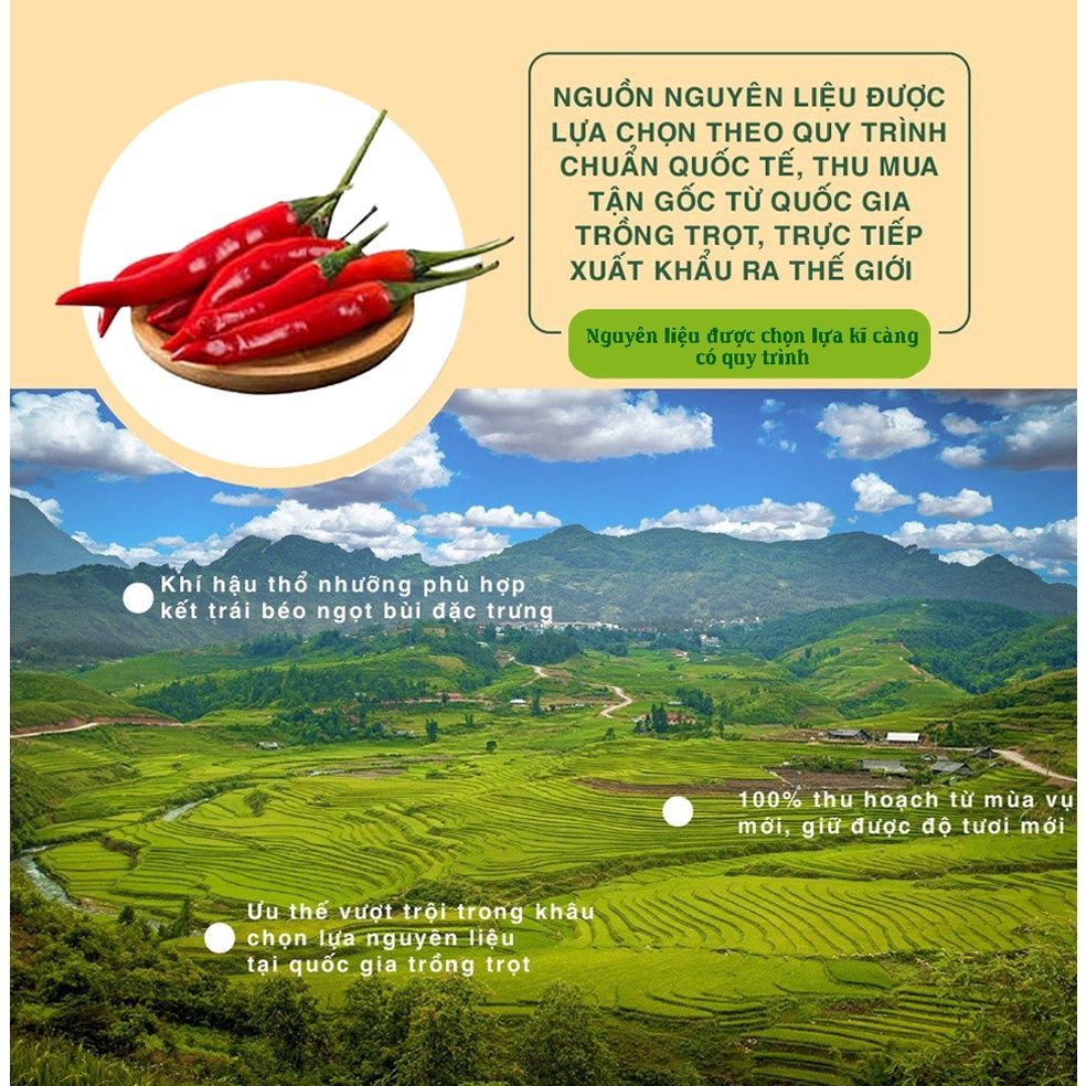Bột Ớt nguyên liệu quan trọng trong ẩm thực 100g Dan D Pak