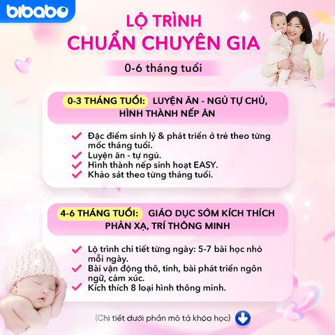 Combo Khóa học chăm sóc trẻ sơ sinh cùng chuyên gia 3in1 ăn, ngủ, giáo dục sớm (0-6 tháng tuổi)