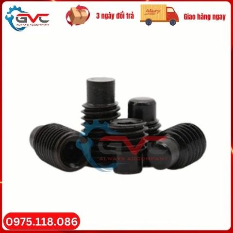 Vít trí đen đầu trụ 12.9