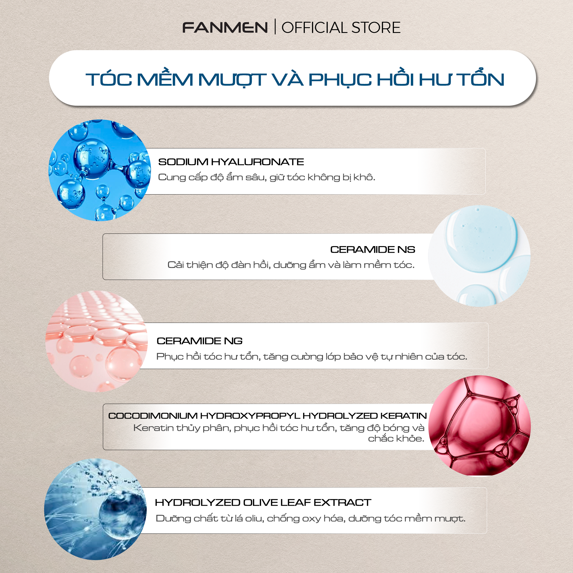  Dầu gội cho nam Fanmen - Ngăn ngừa gầu hiệu quả 350ml 