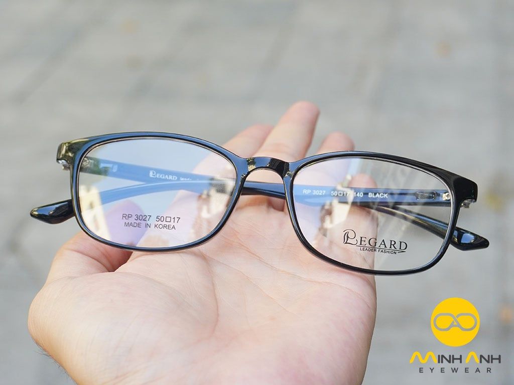  Regard Eyewear - RP3027 