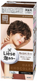  Thuốc nhuộm dạng bọt màu chocolate đen Liese Foam Dark Chocolate (108ml) 花王 リーゼ プリティア 泡カラー ダークショコラ 