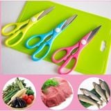  Kéo làm bếp bằng thép không rỉ Echo Metal (21.5cm) ポップカラーキッチン鋏 