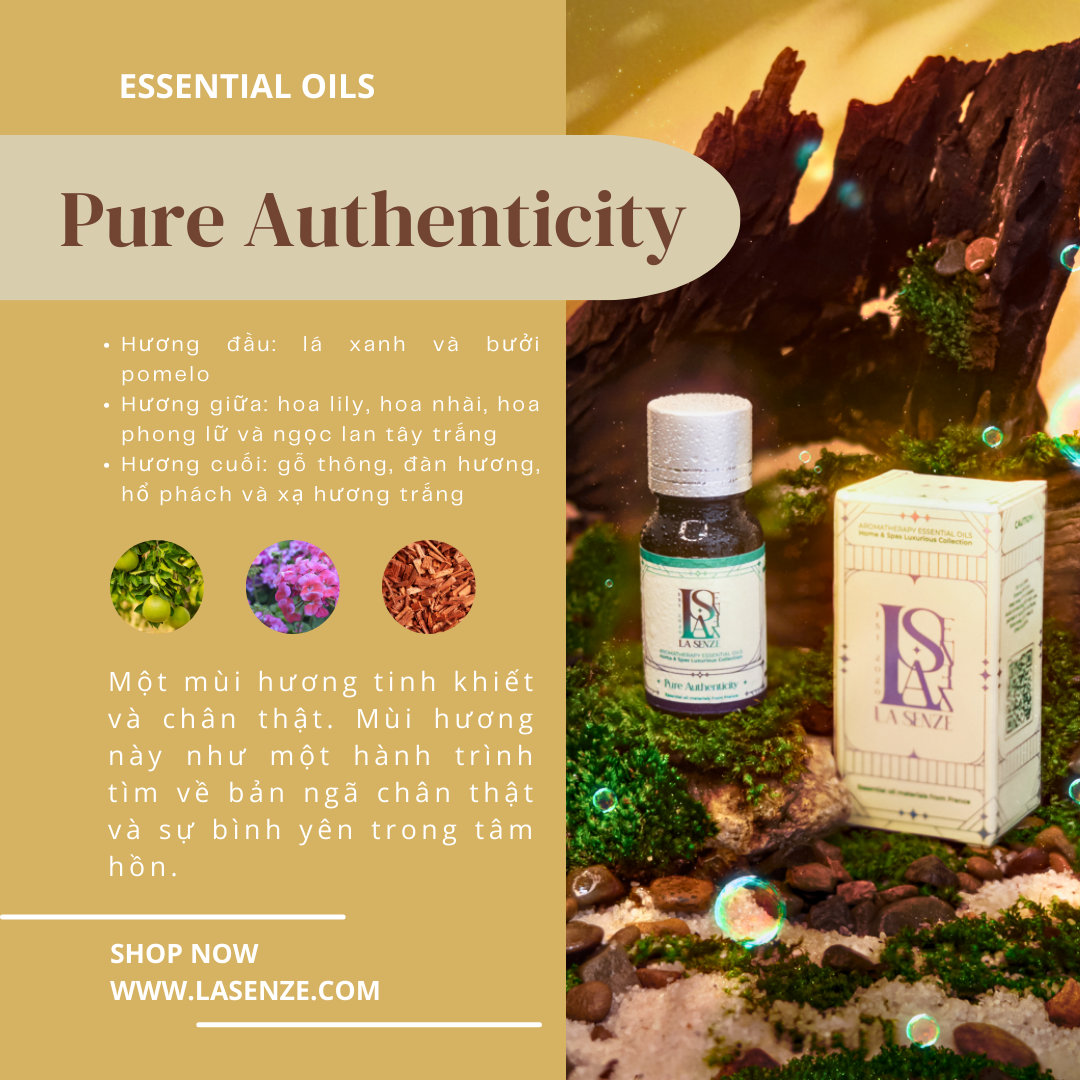  Tinh Dầu Thơm Luxurious Home & Spas - 5 Stars Hotels & Resorts Collection 