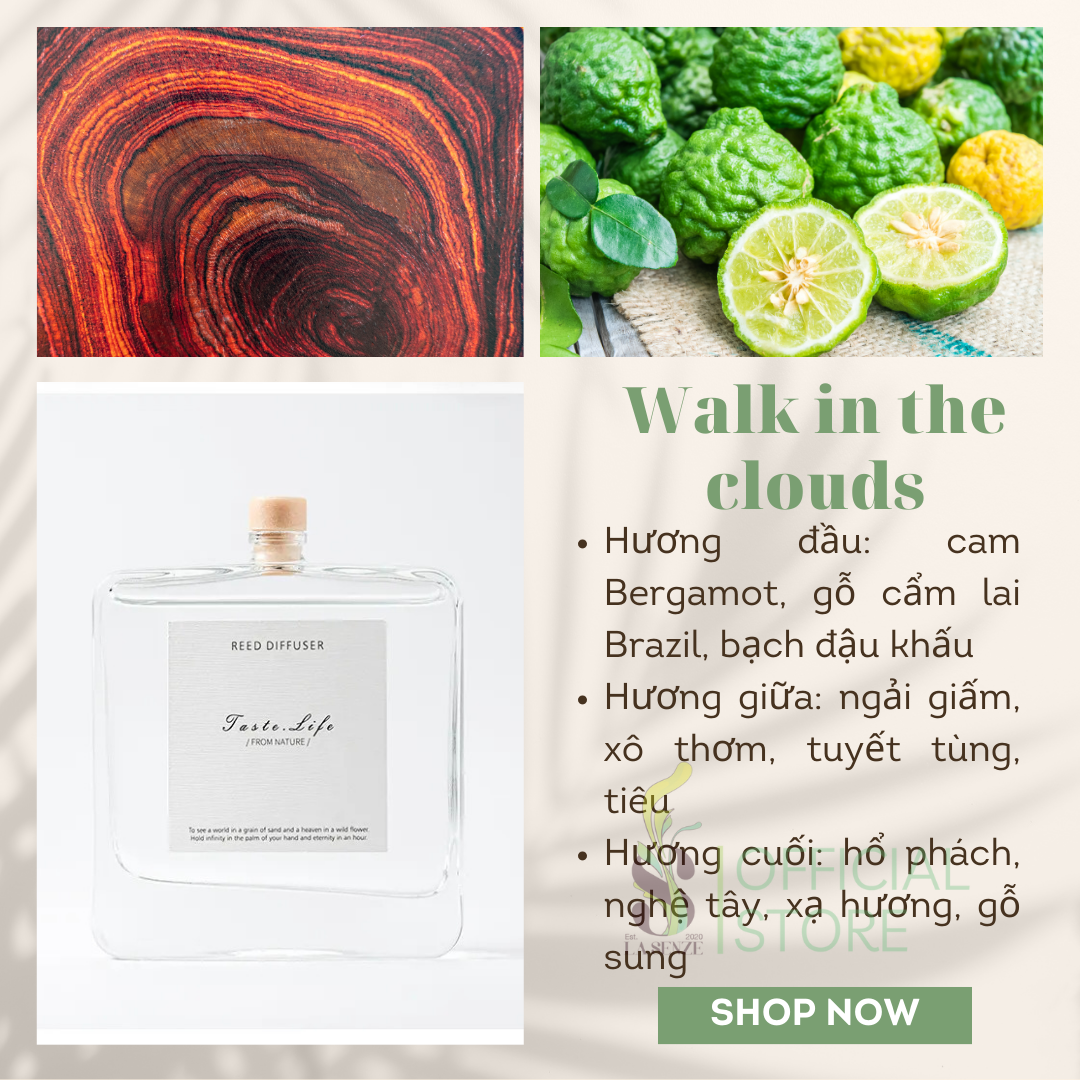  Tinh Dầu Thơm Phòng Khuếch Tán Cao Cấp Taste Life 120ml 