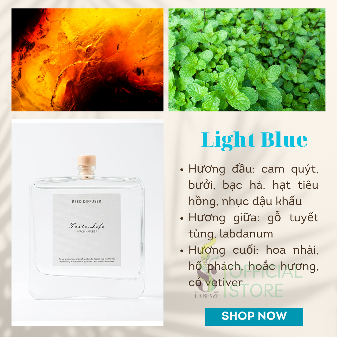  Tinh Dầu Thơm Phòng Khuếch Tán Cao Cấp Taste Life 120ml 